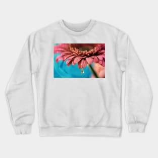 Fresh as a Daisy Crewneck Sweatshirt